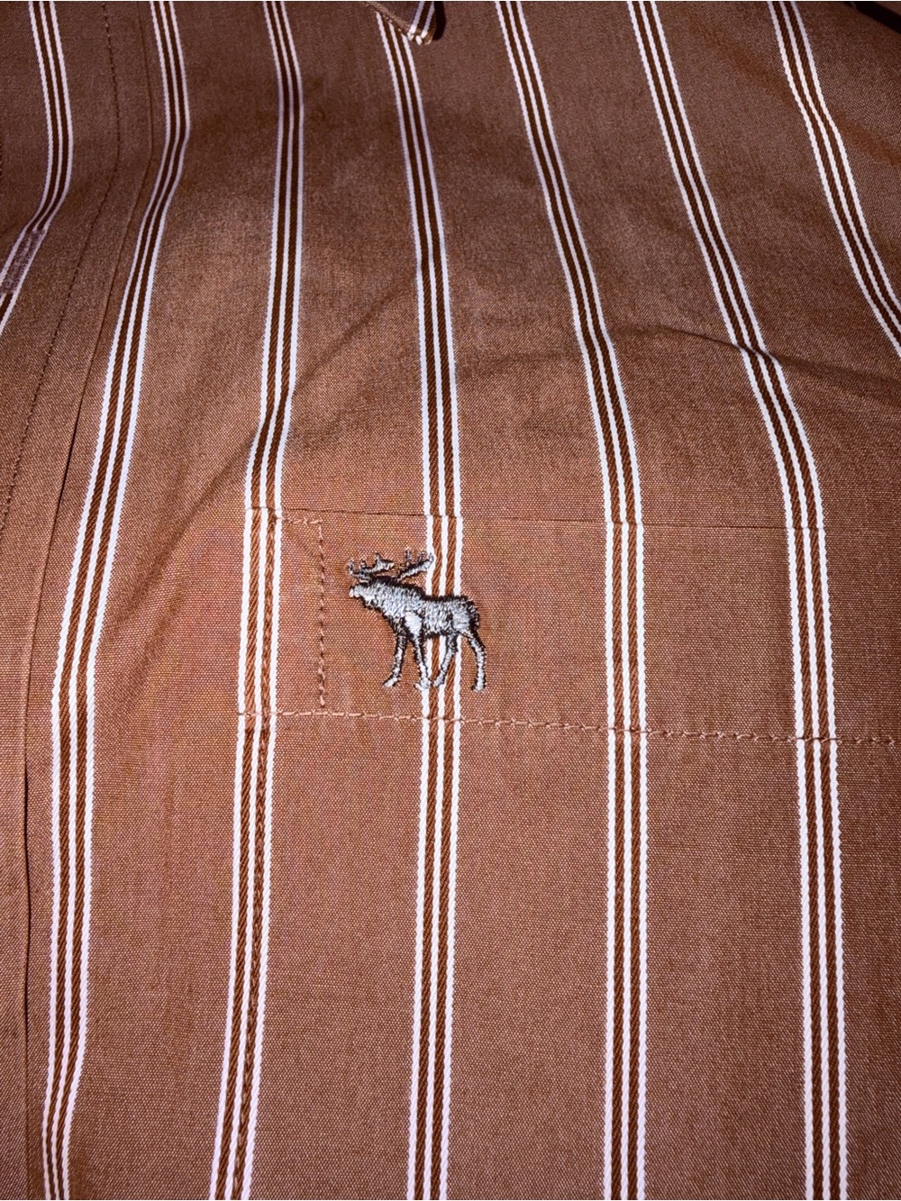 Men's Abercrombie & Fitch Y2K Pin Stripe Moose Logo Button Down Size Large - Picture 4 of 5